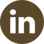 Social Icon